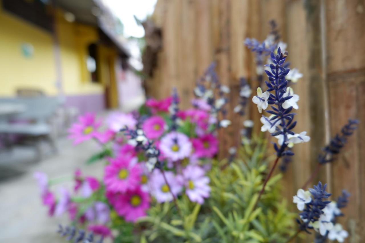 Marina Hut Guest House Ко-Ланта Екстер'єр фото